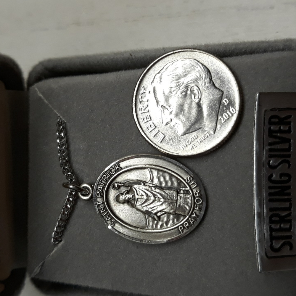 St Patrick Patron Saint Of Snakes Engineers Ireland S… Gem